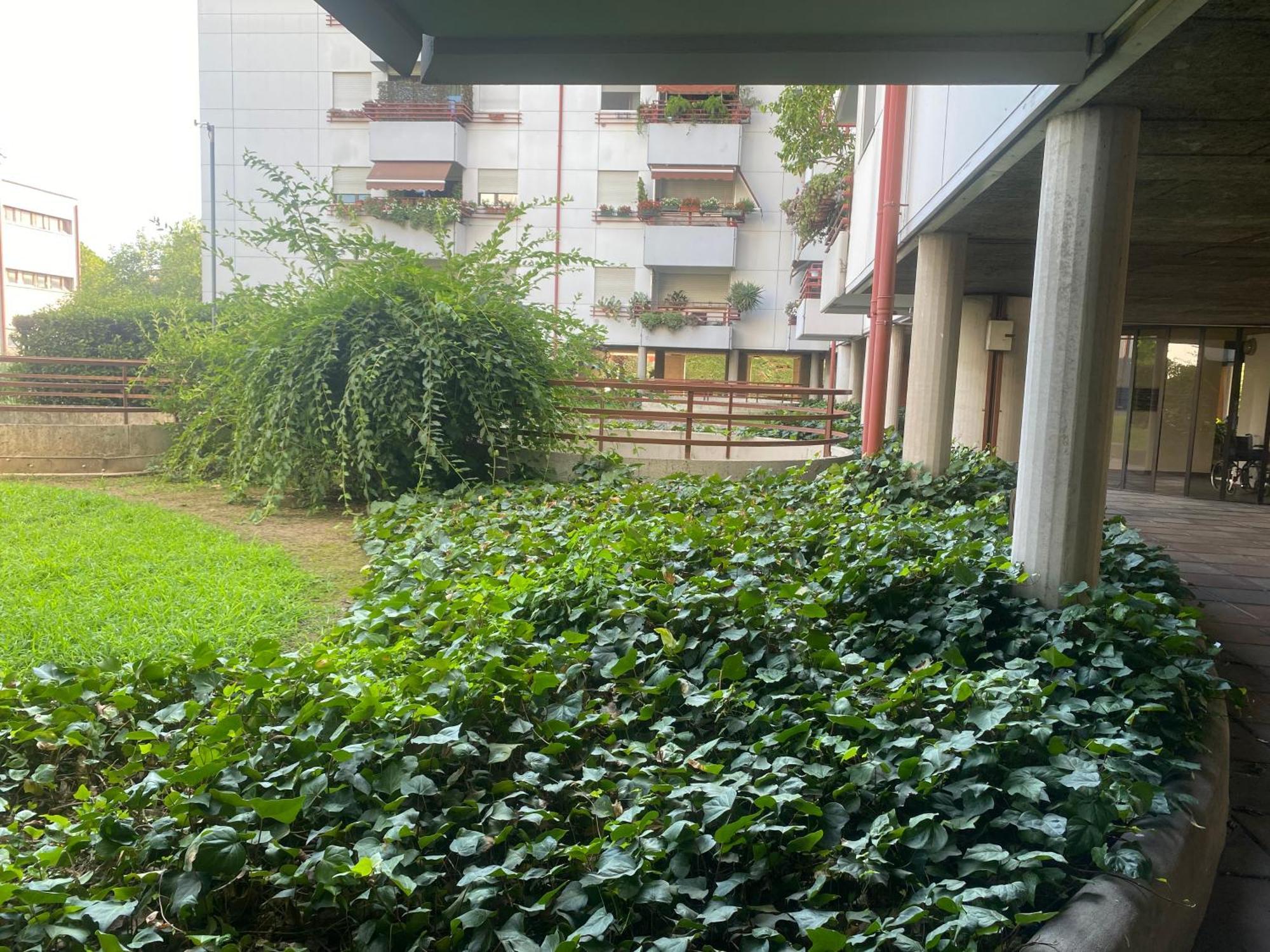 La Belle Vue Διαμέρισμα Βερόνα Εξωτερικό φωτογραφία